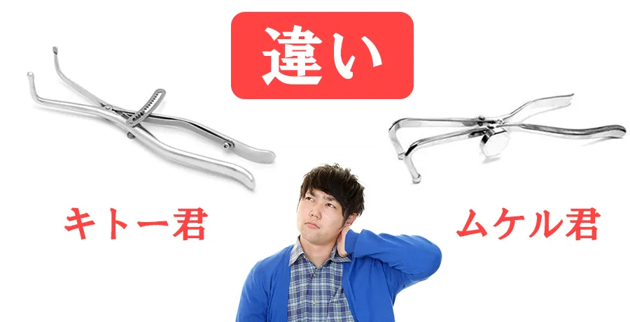 キトー君とムケル君の違い